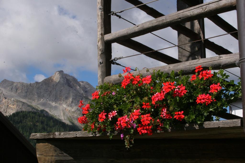 Albergo Diffuso Sauris In Sauris Di Sopra Dış mekan fotoğraf